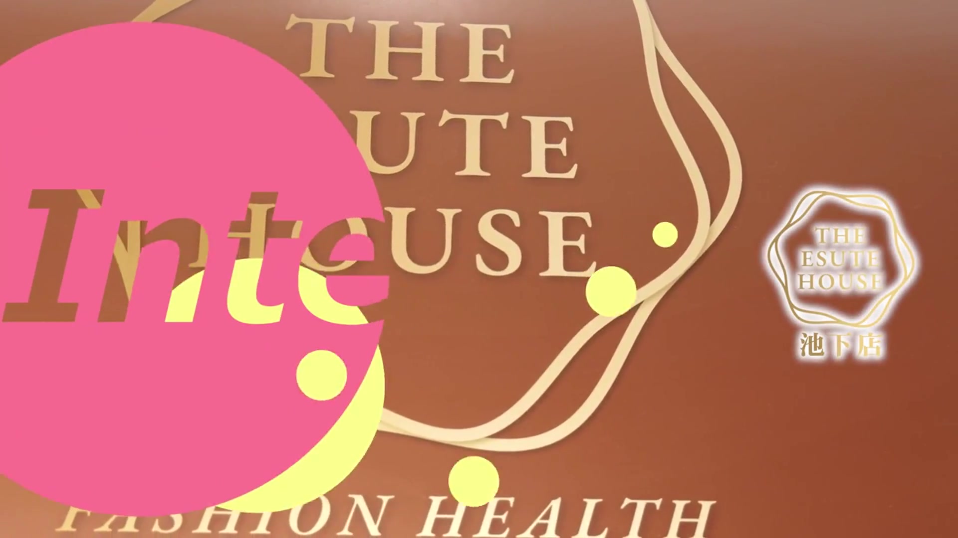 THE ESUTE HOUSE 池下