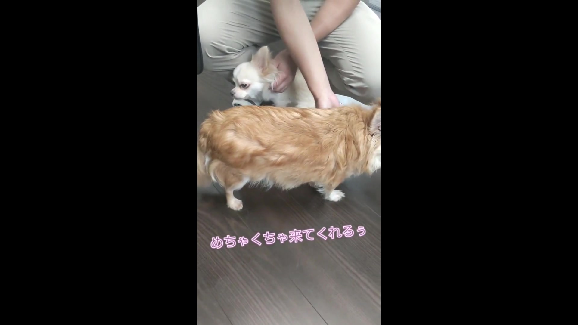 FF～我慢出来ない不倫in熊本