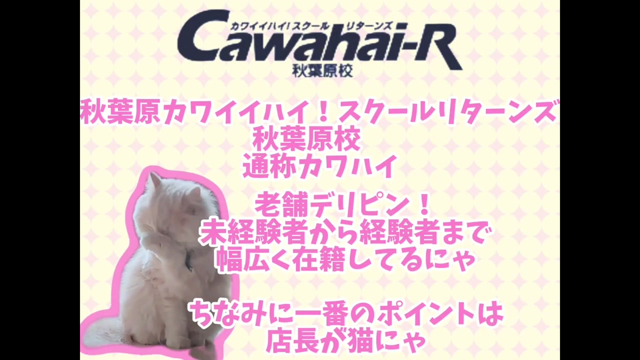 Cawaiiハイ！スクールリターンズ秋葉原校