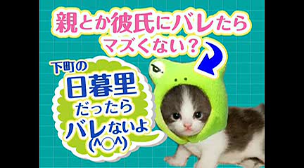Vitamin ～ビタミン～