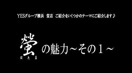 蛍