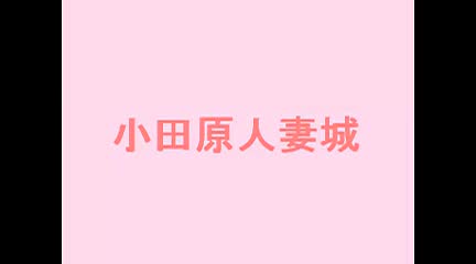 小田原人妻城