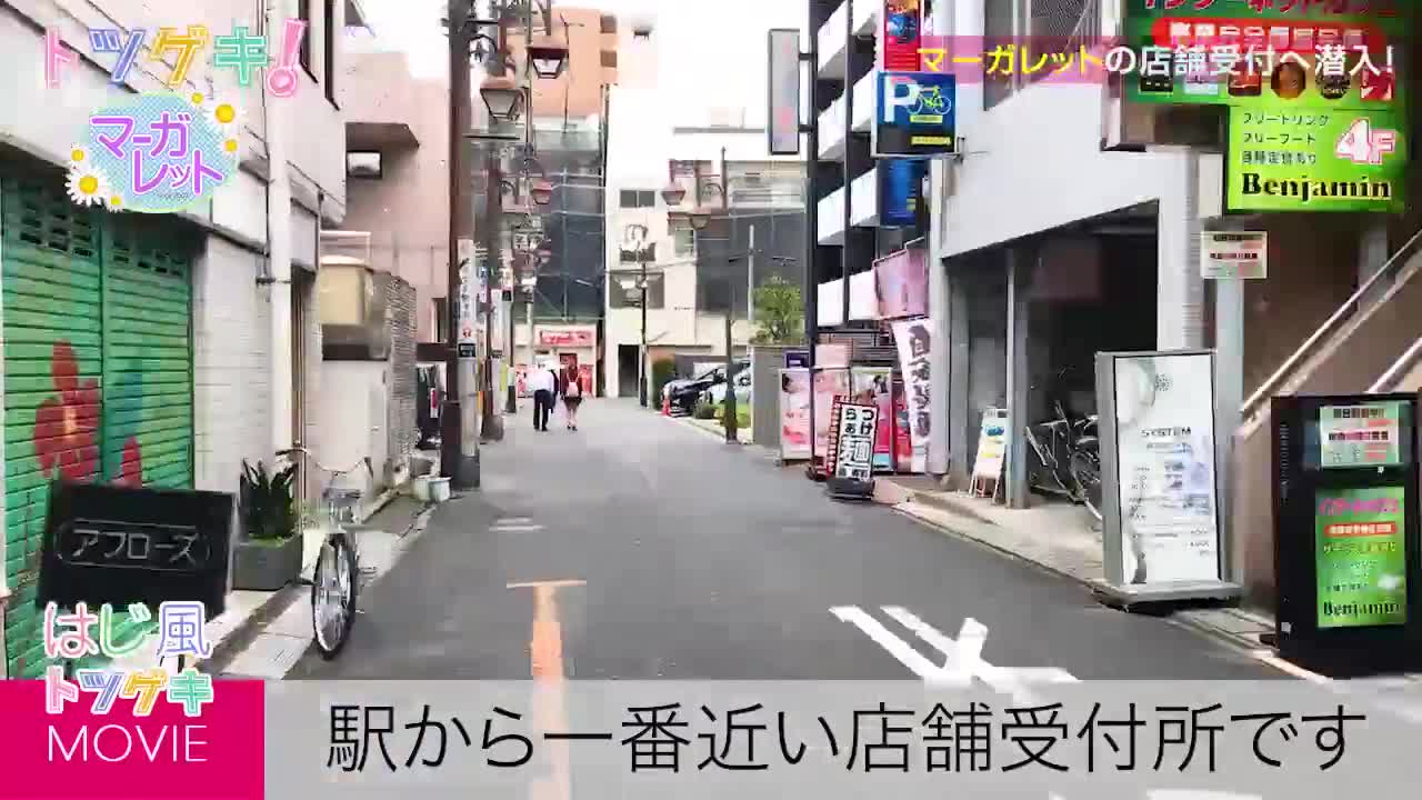 マーガレット